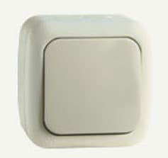 Intrerupator 1kl PALMYE crem