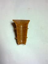 Ungheras interior SP 106-1