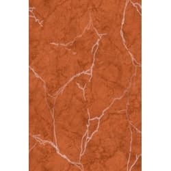 Teracota perete Alexandria bej inchis 20*30  (1.44 m) 24 buc