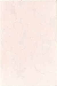 Teracota perete Eleghia roz deschis  20*30  Bereza 1c  (1.2 m) 20 buc