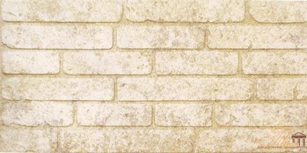 Teracota perete Staraia Praga alb 20*40 (1.44m)18buc