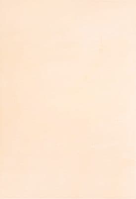 Teracota perete Alexa PN C 27.5*40 (1.65m2)15buc