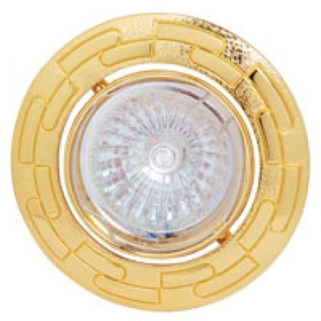 Corp de ilum. HOROZ Downlight 50W HL798 (auriu)